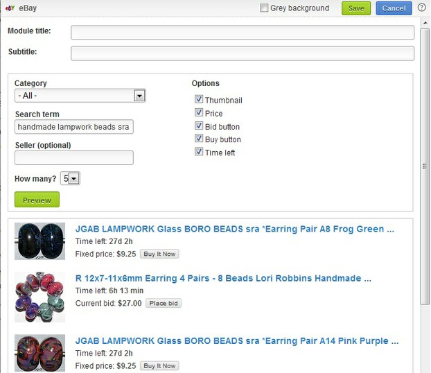 Filling the Ebay module