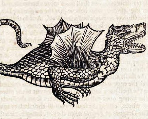 File:WingedDragon.jpg