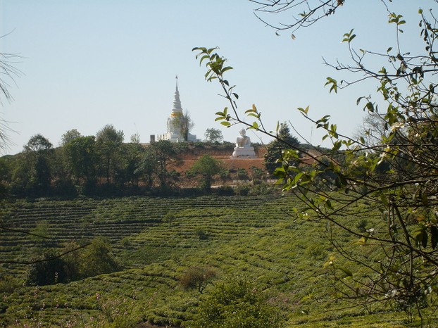 Xiding, western Xishuangbanna Dai Autonomous Prefecture, southern Yunnan Province, southwestern China