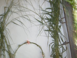 Rushes inside the church