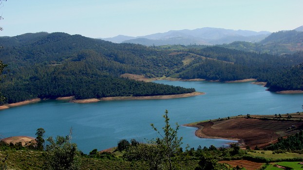Nilgiris District, western Tamil Nadu, southwestern India