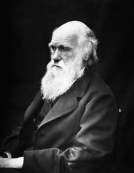 Can Christians Believe in Evolution?