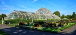 Restoring the Palm House